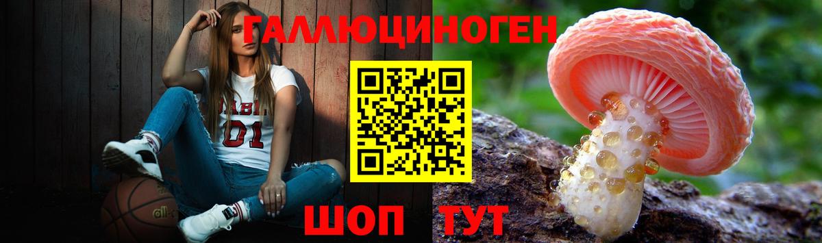Псилоцибиновые грибы мицелий  Галлюциногенные грибы Cubensis  Вход с VPN  Буйнакск 
